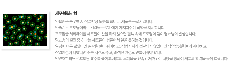 세포 활력저하